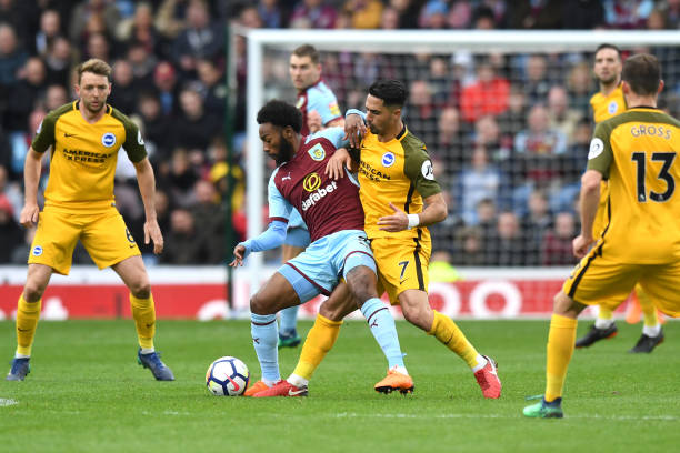 仅吸引了大 仅吸引了大