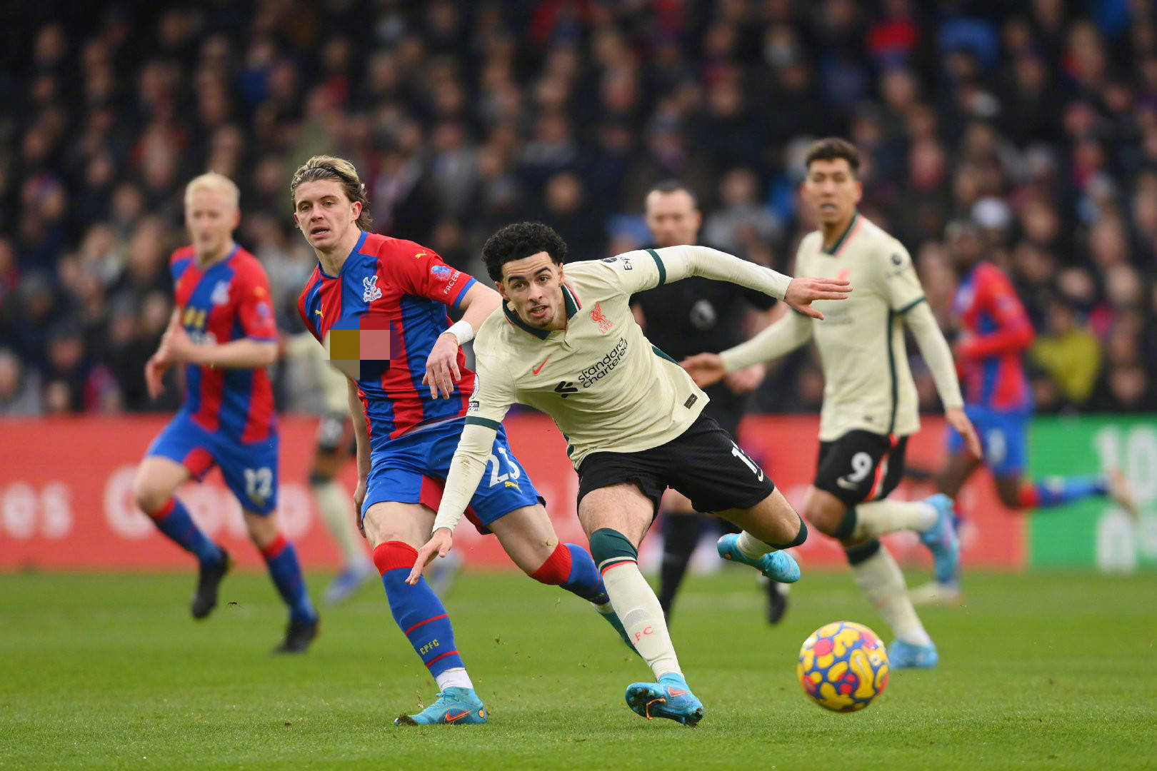 这种现象体 这种现象体